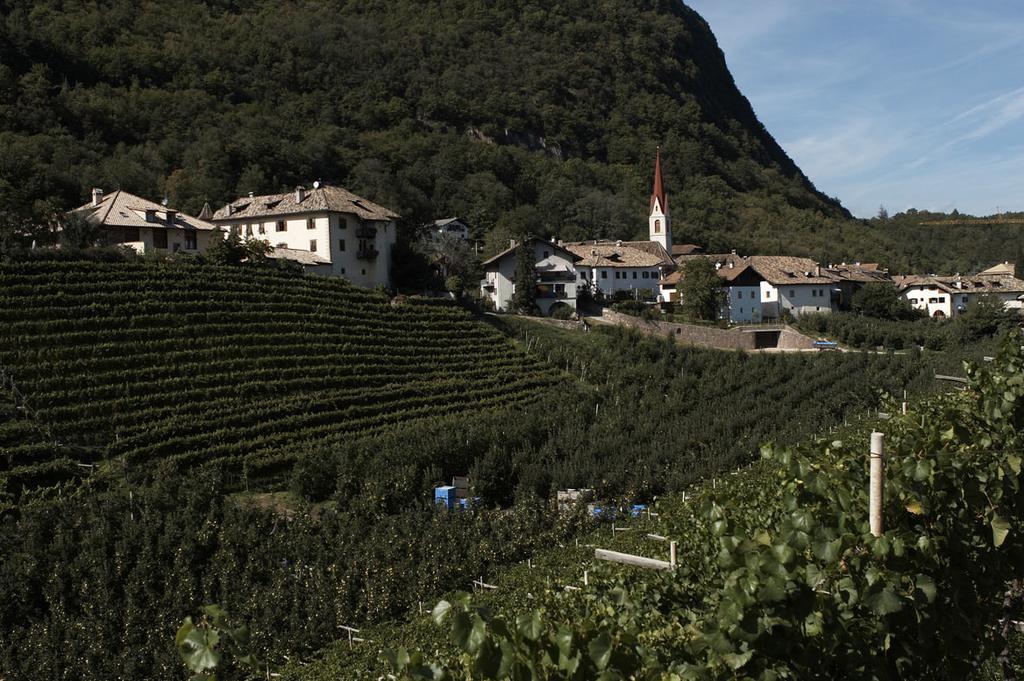Biobauernhof St. Quirinus Apartamento Caldaro Exterior foto