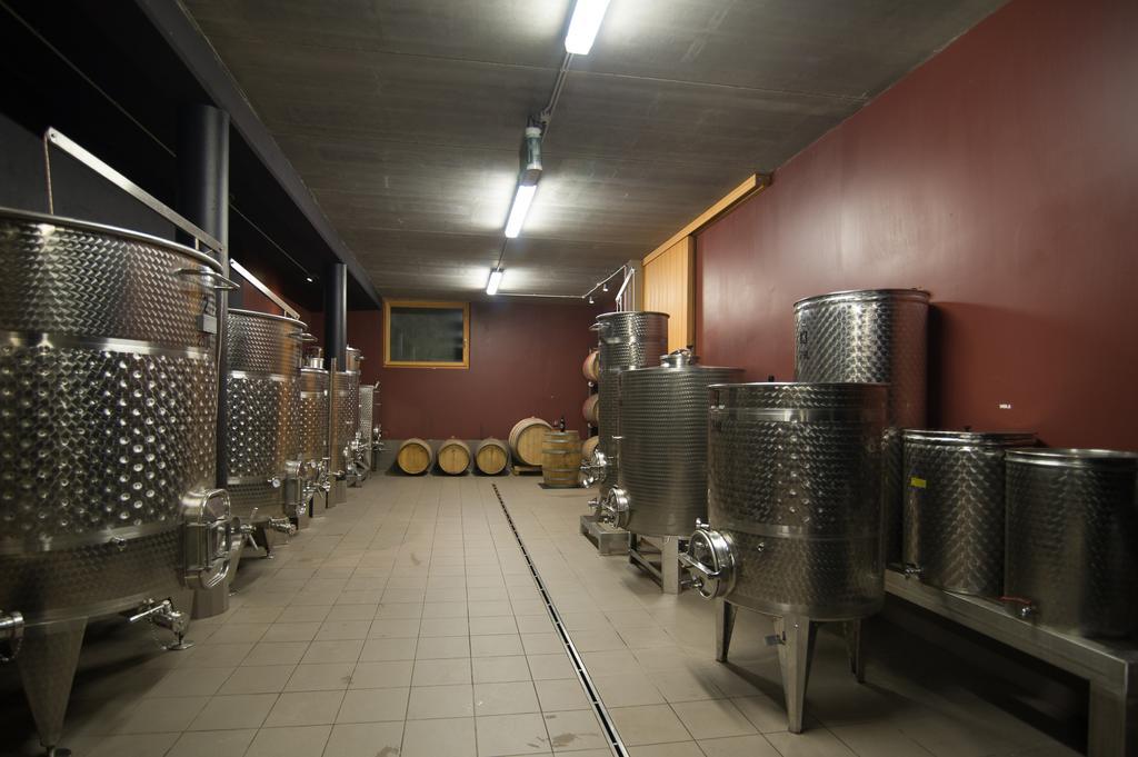 Biobauernhof St. Quirinus Apartamento Caldaro Exterior foto