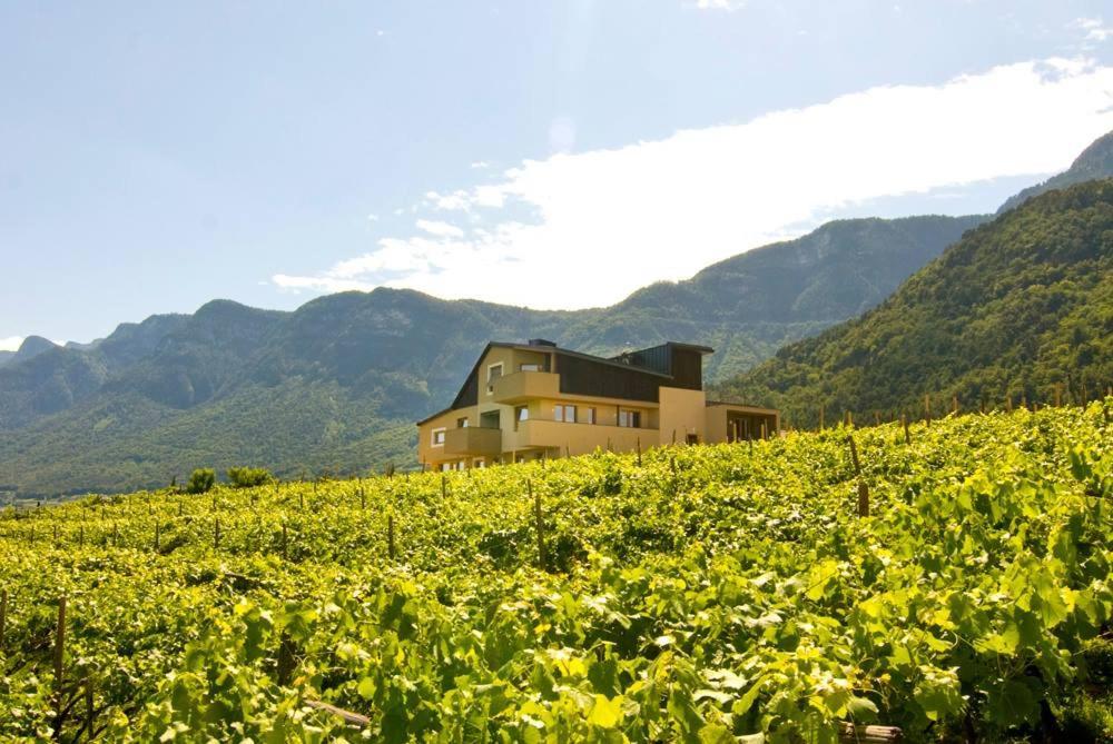 Biobauernhof St. Quirinus Apartamento Caldaro Exterior foto